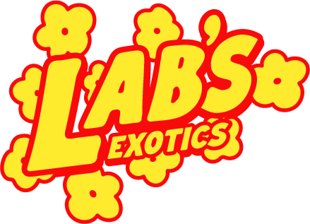 LABS_EXOTICS